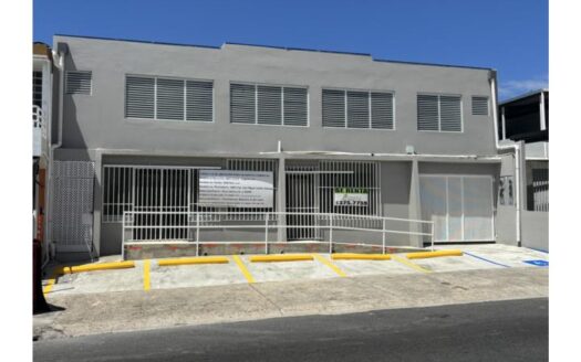 AVENIDA PRINCIPAL SANTA JUANITA, Comercial